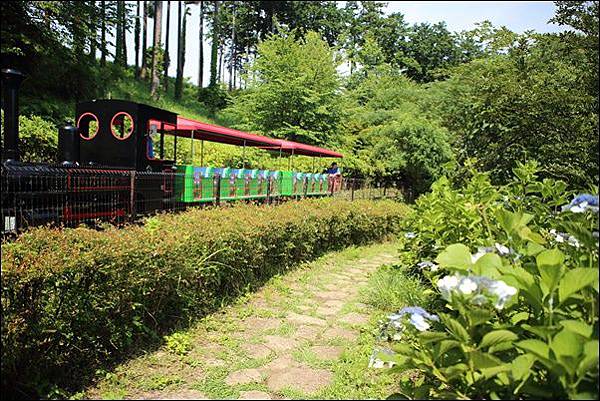 小田原こどもの森公園 (14).jpg