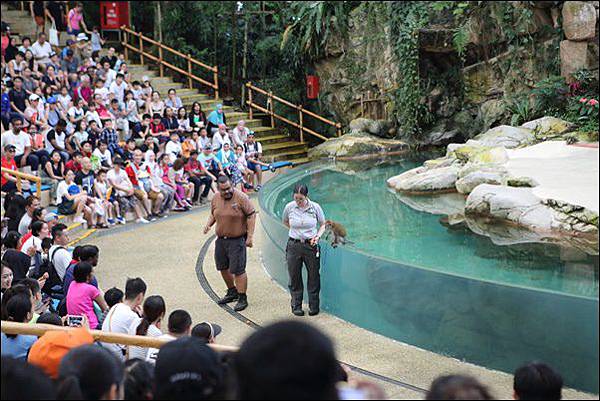 新加坡動物園 (20).jpg