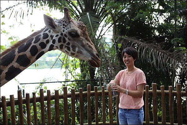 新加坡動物園 (45).jpg