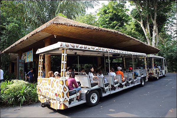 新加坡動物園 (58).jpg