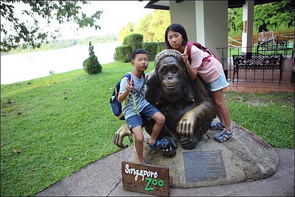 新加坡動物園 (63).jpg