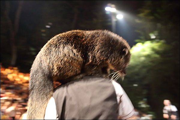 夜間動物園 (20).jpg