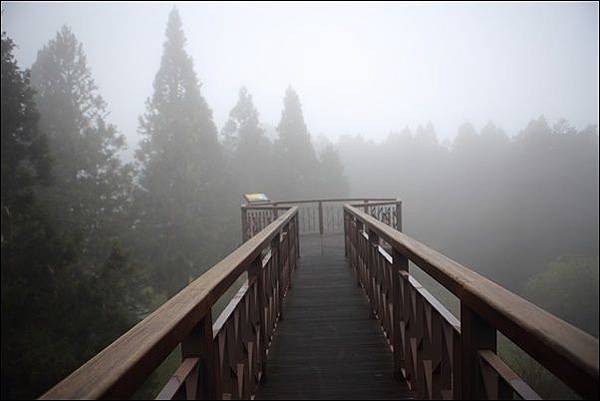 阿里山森林遊樂區 (12)