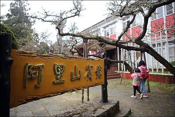 阿里山森林遊樂區 (18)