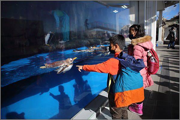 仙台海洋森林水族館 (12).jpg