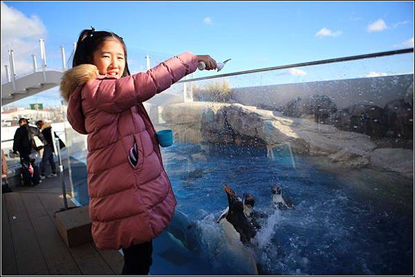 仙台海洋森林水族館 (35).jpg