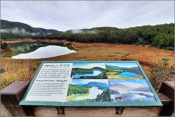 翠峰湖環山步道 (6).jpg