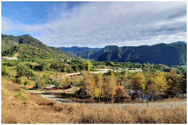 川中島落羽松露營秘境 (39).jpg