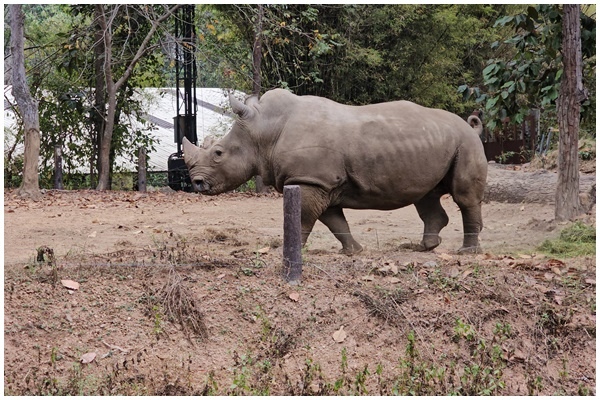 夜間動物園 (11).jpg