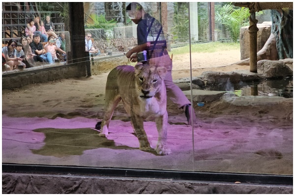 夜間動物園 (23).jpg