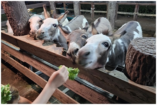 夜間動物園 (48).jpg