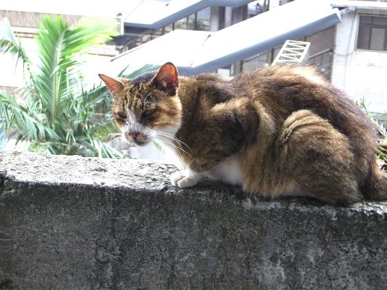 PICT8839.JPG