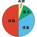 2006的泉隆腦袋構造