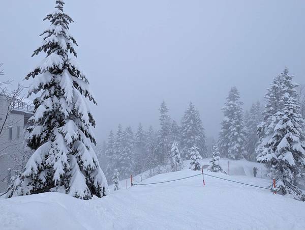 【大阪親子遊】零下六度的新穗高纜車及高山古都