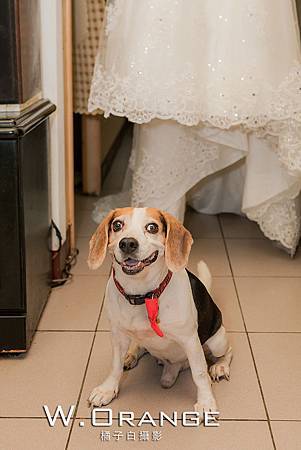 婚禮記實,婚攝,宸上名品