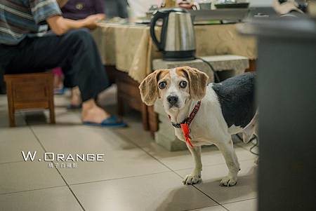 婚禮記實,婚攝,宸上名品