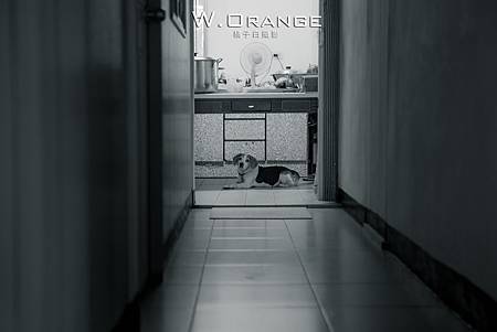 婚禮記實,婚攝,宸上名品