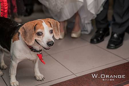 婚禮記實,婚攝,宸上名品
