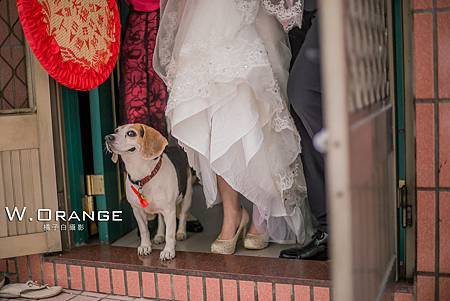 婚禮記實,婚攝,宸上名品