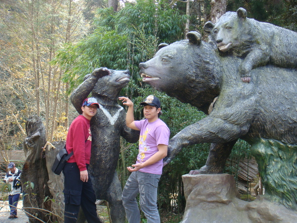 台灣黑熊