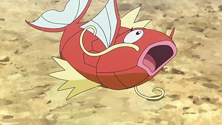 SM113.flv_20190319_234755 (2).jpg SM113.flv_20190319_234755 (2).jpg