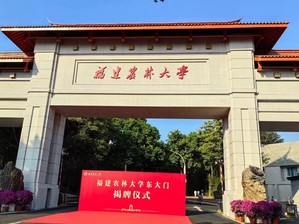 康雁塔書法老師(福建農林大學)