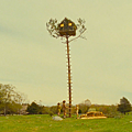 moonrise_kingdom_treehouse