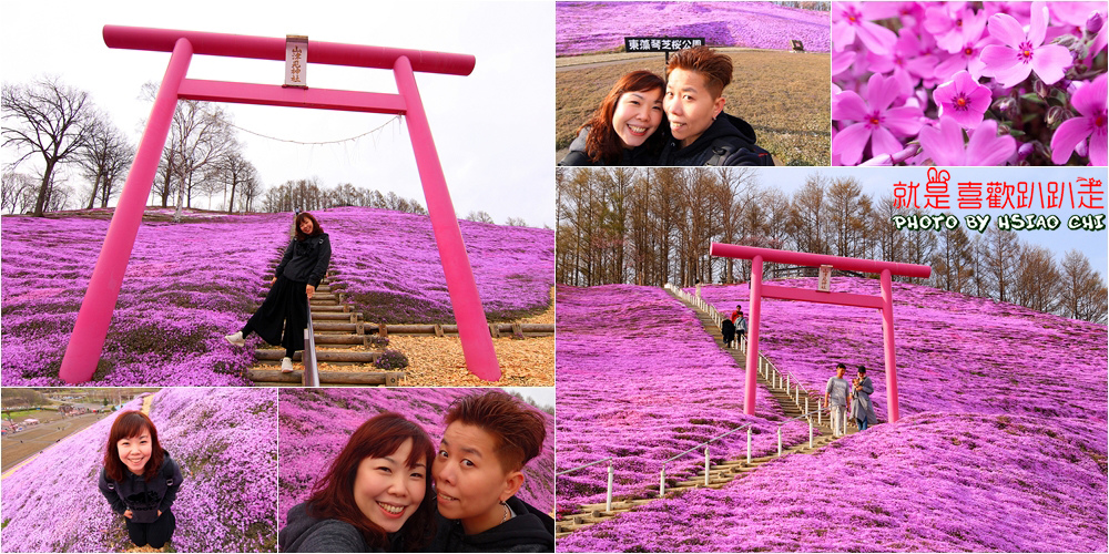 日本 北海道賞櫻11日 大空町 東藻琴芝櫻公園 超美粉紅花毯 面積大到驚死人啦 Aman Eva就是喜歡趴趴走 痞客邦 日本 北海道賞櫻11日 大空町 東藻琴芝櫻公園 超美粉紅花毯 面積大到驚死人啦 Aman Eva就是喜歡趴趴走 痞客邦