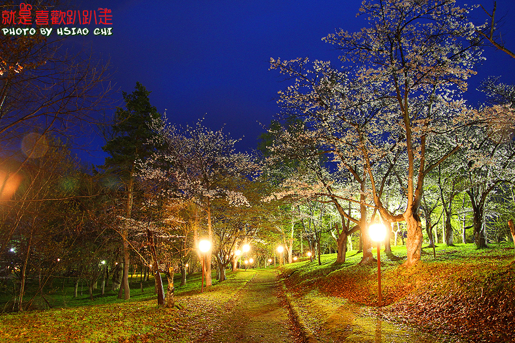 日本 北海道賞櫻11日 美唄市 東明公園 夜櫻 人潮較少適合慢遊 Aman Eva就是喜歡趴趴走 痞客邦