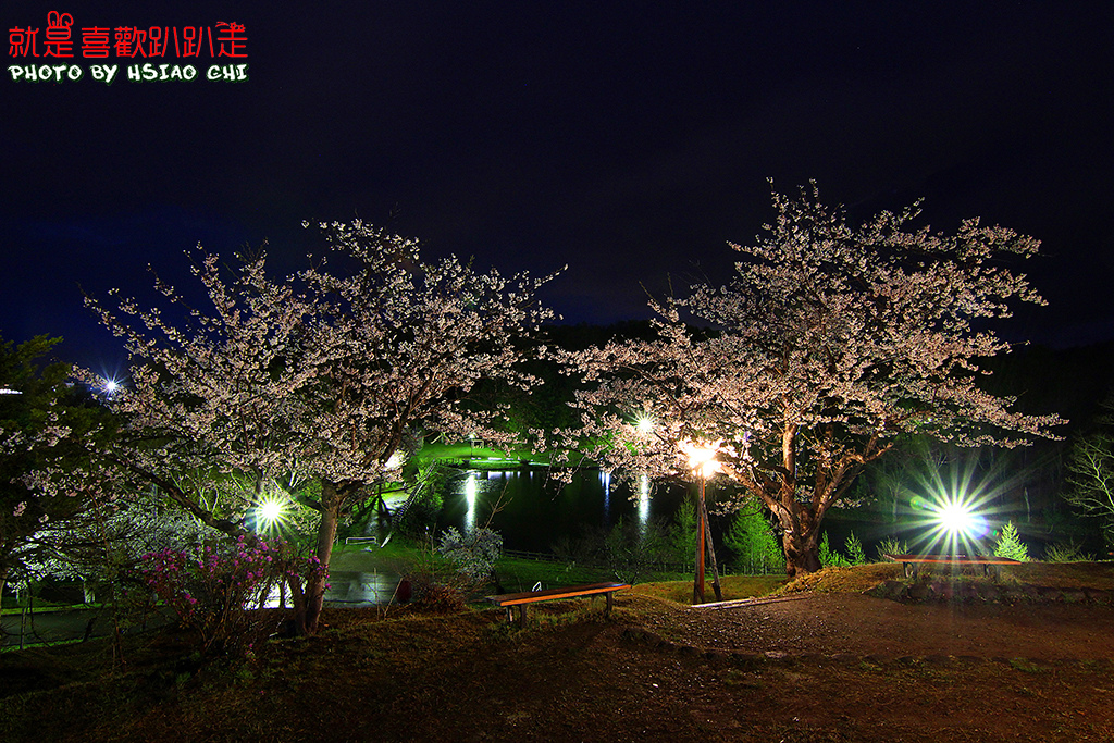 日本 北海道賞櫻11日 美唄市 東明公園 夜櫻 人潮較少適合慢遊 Aman Eva就是喜歡趴趴走 痞客邦
