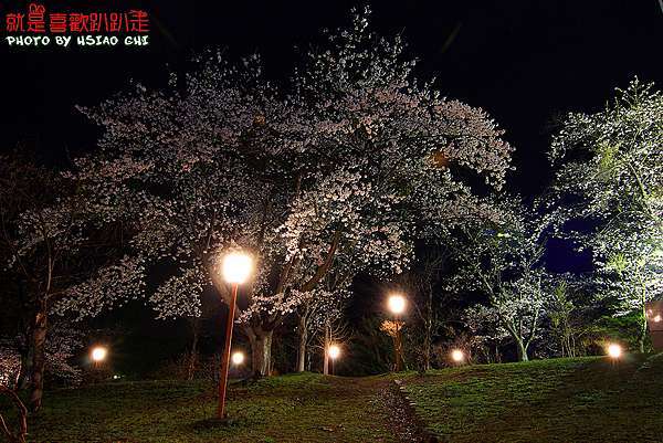 日本 北海道賞櫻11日 美唄市 東明公園 夜櫻 人潮較少適合慢遊 Aman Eva就是喜歡趴趴走 痞客邦