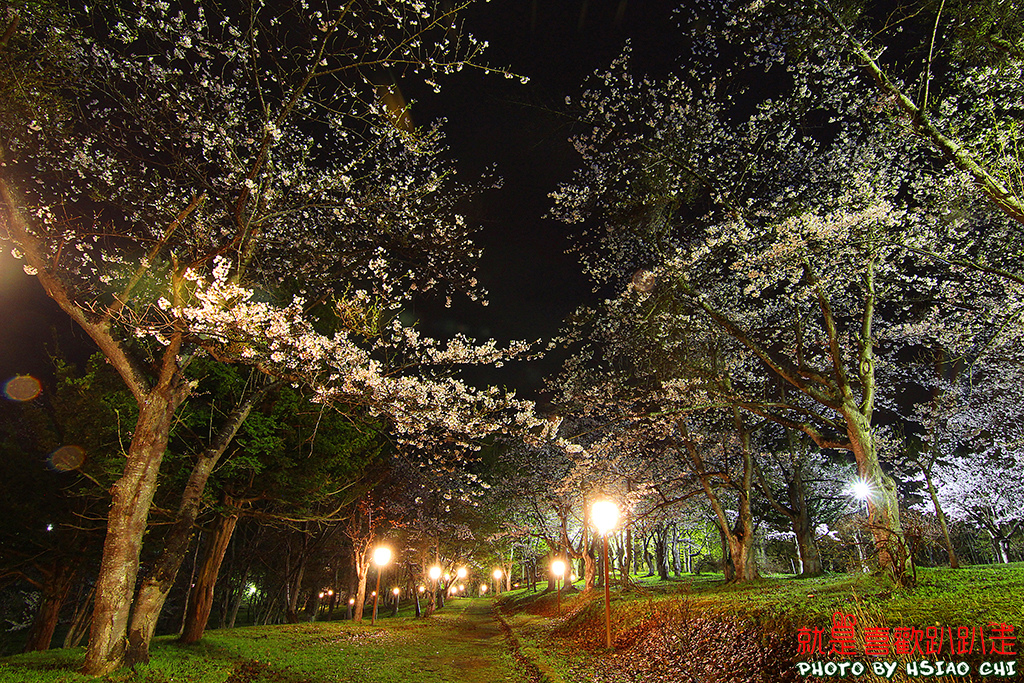 日本 北海道賞櫻11日 美唄市 東明公園 夜櫻 人潮較少適合慢遊 Aman Eva就是喜歡趴趴走 痞客邦