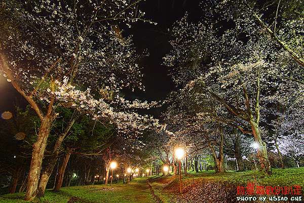 日本 北海道賞櫻11日 美唄市 東明公園 夜櫻 人潮較少適合慢遊 Aman Eva就是喜歡趴趴走 痞客邦