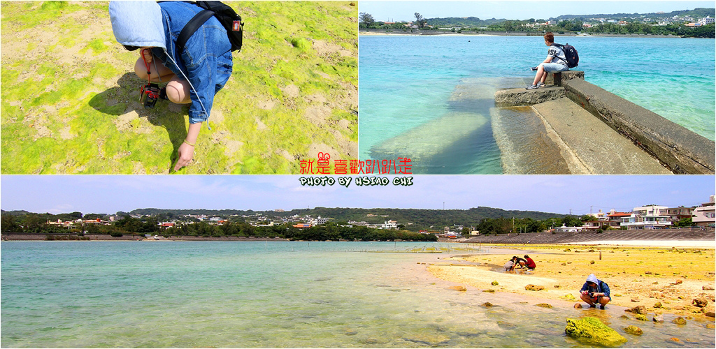 日本 沖繩13日 奥武島ビーチ 好多海菜的沙灘 黃橙橙又綠油油 Aman Eva就是喜歡趴趴走 痞客邦