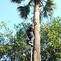 Cambodia(20080121)_41.JPG