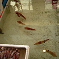 200908新居，基隆一日遊 040.jpg