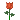 flower.png