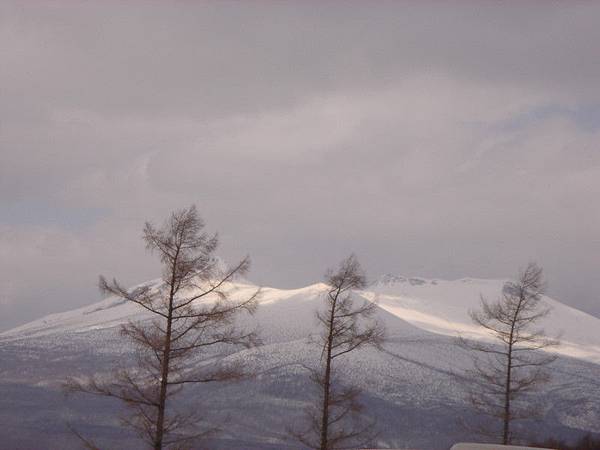 DSC00737 DSC00737
