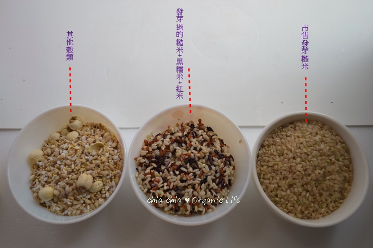 糙米發芽 (12).jpg 糙米發芽 (12).jpg
