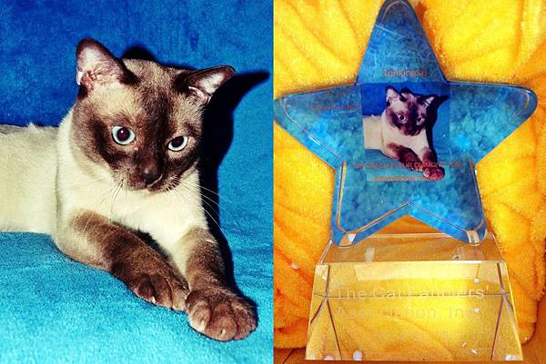 2nd-horz 2 2nd-horz 2