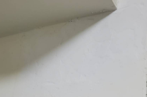 [DIY] 牆壁輕微壁癌或滲水或油漆剝落處理