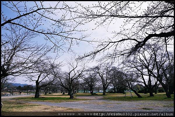 京阪奈良021-20150321.JPG