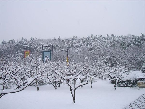 雪景