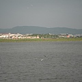 20100523 024.jpg