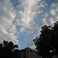 20100523 054.jpg