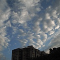 20100523 055.jpg