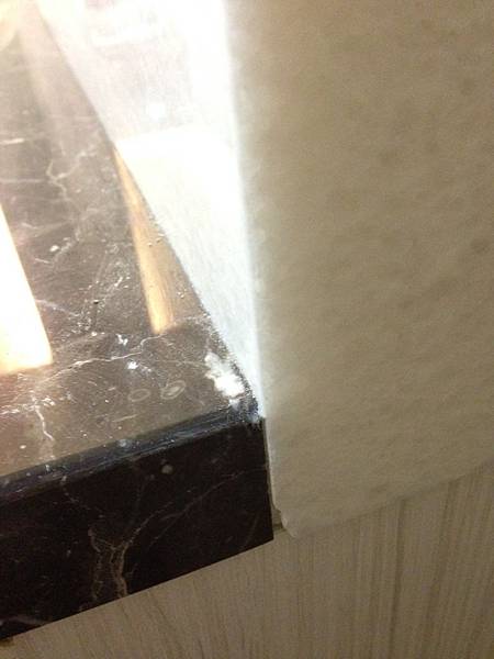 久樘法國莊園監工日誌1