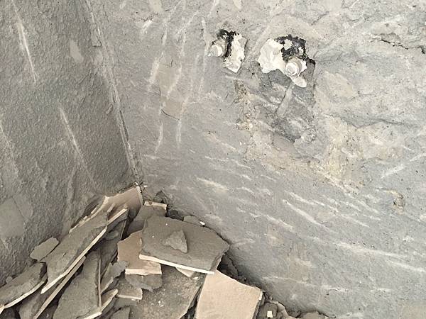 衛浴拆除施工 油漆刷色施工 (12).JPG