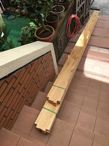 59321396_2279939605408181_9102328923466760192_n.jpg 59321396_2279939605408181_9102328923466760192_n.jpg