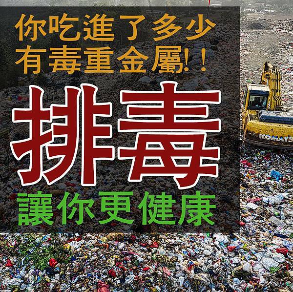 封面.jpg 封面.jpg